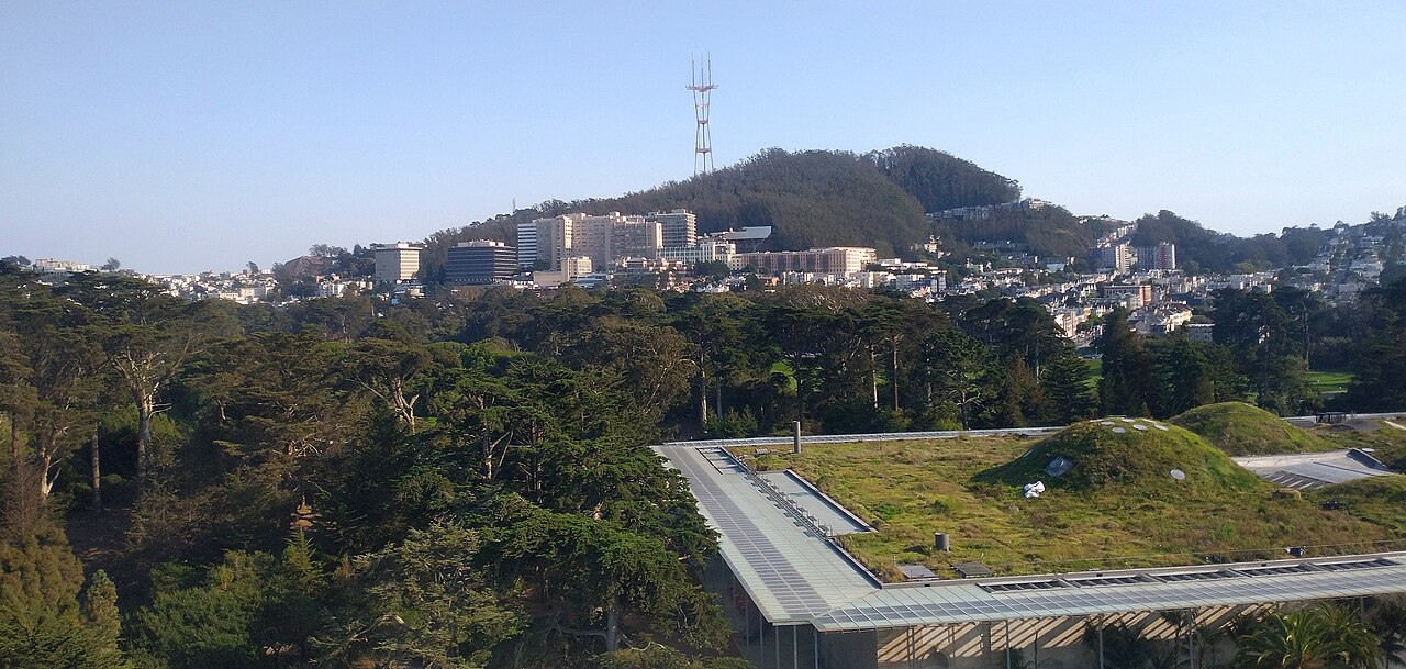 University of California-San Francisco campus
